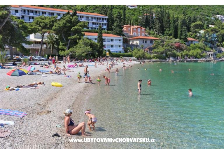 Apartments Bukovac – photo 17