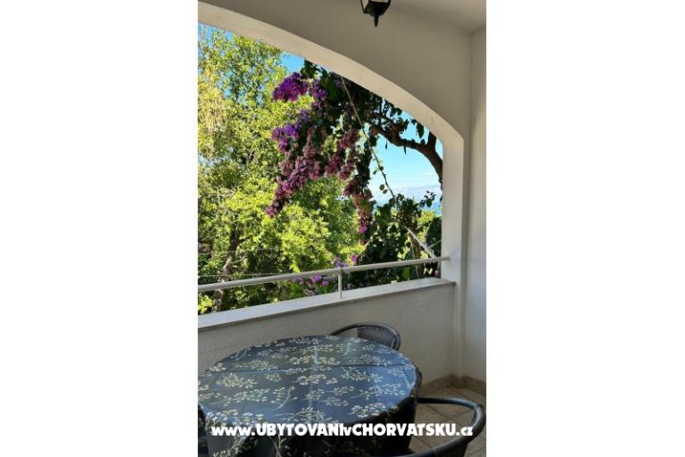 Apartments Bukovac – photo 9