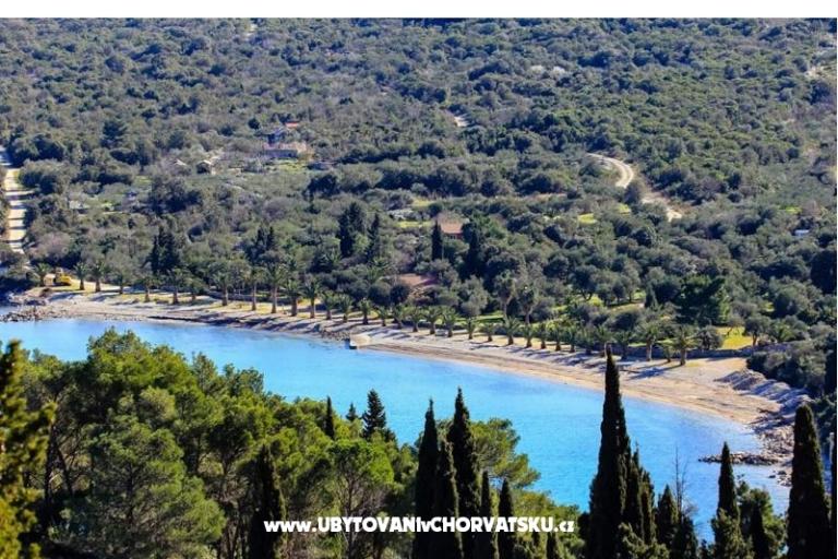 Apartments Nino – photo 14