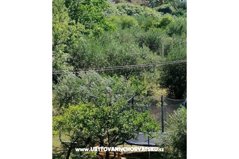 Apartments Nino – photo 3