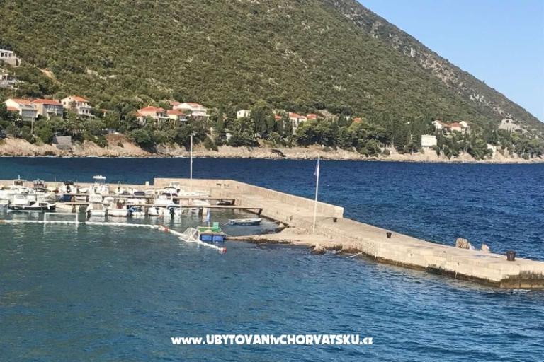 Vila Nautilus luxury Apartments – photo 22