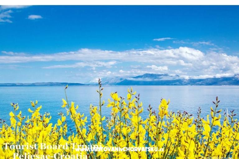 Villa Montana - Seaside  Oasis – photo 34