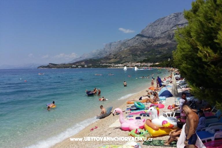 Alba Apartments – photo 14