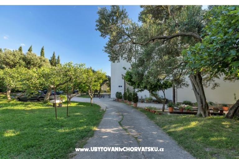 Apartments Balić – photo 11