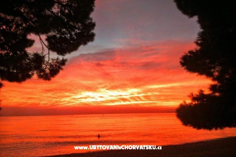 Apartments Stone  Tučepi  – photo 14