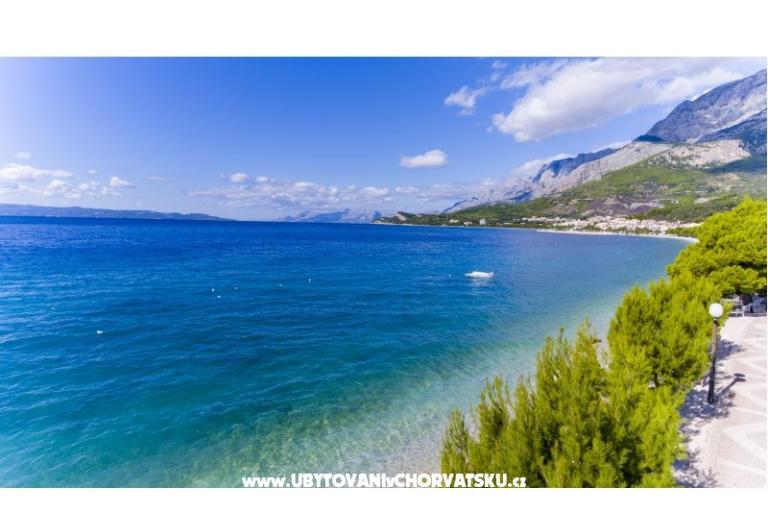 Apartments Helga – photo 4