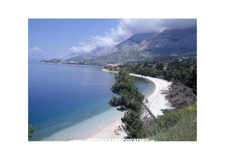 Apartments Marija &amp; Frane Mravičić – photo 8