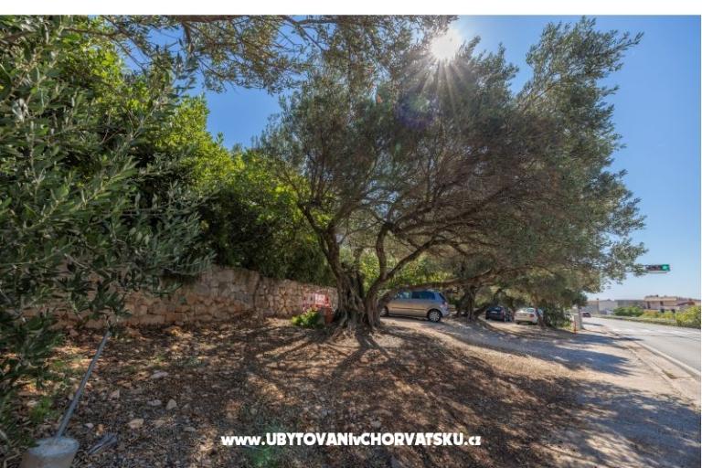 Apartments Marta – photo 18