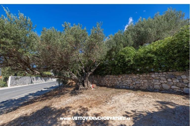 Apartments Marta – photo 19