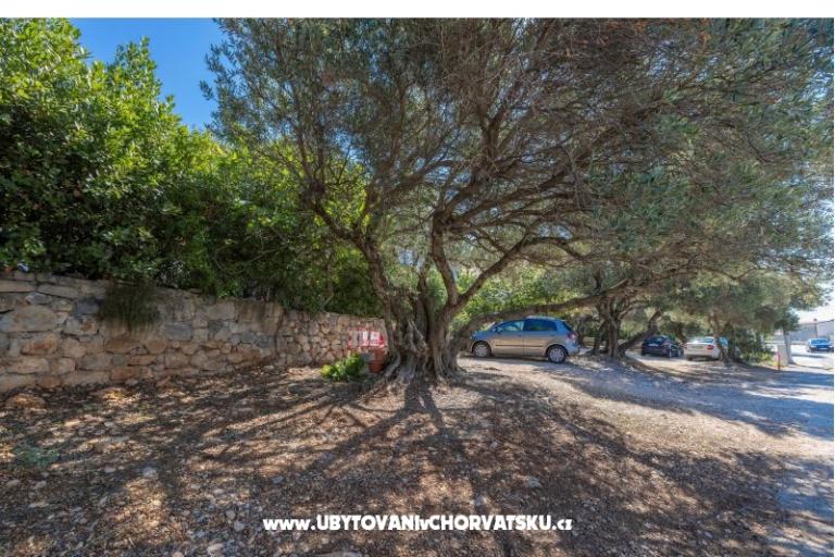 Apartments Marta – photo 21