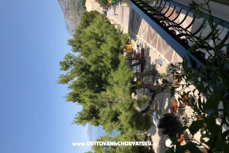 Apartments Mihaljević-Olea – photo 10