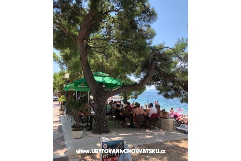 Apartments Mihaljević-Olea – photo 14