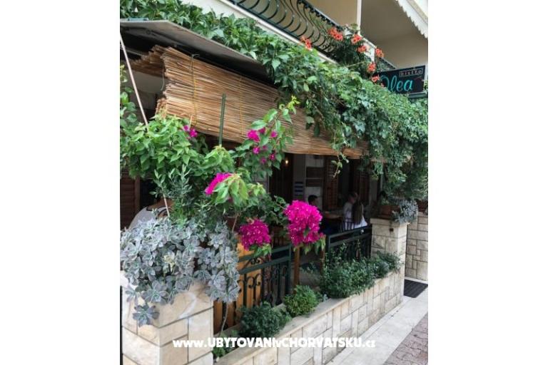 Apartments Mihaljević-Olea – photo 15