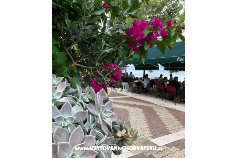 Apartments Mihaljević-Olea – photo 18