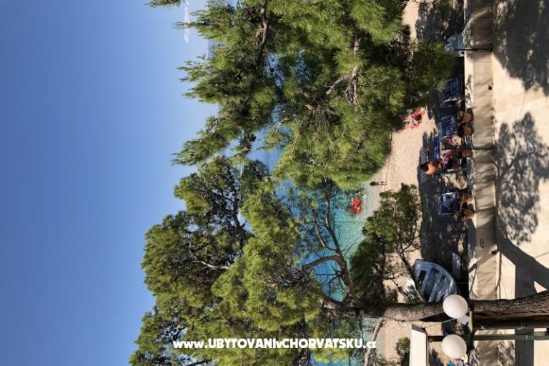 Apartments Mihaljević-Olea – photo 5