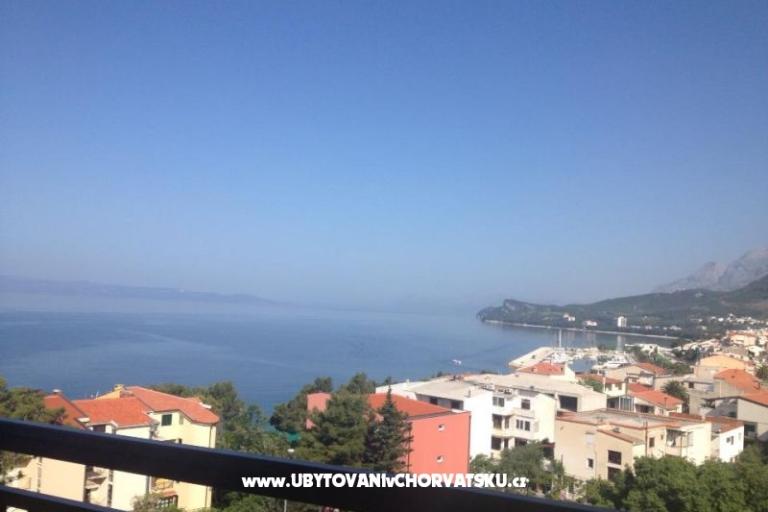 Apartments Olga  – photo 5