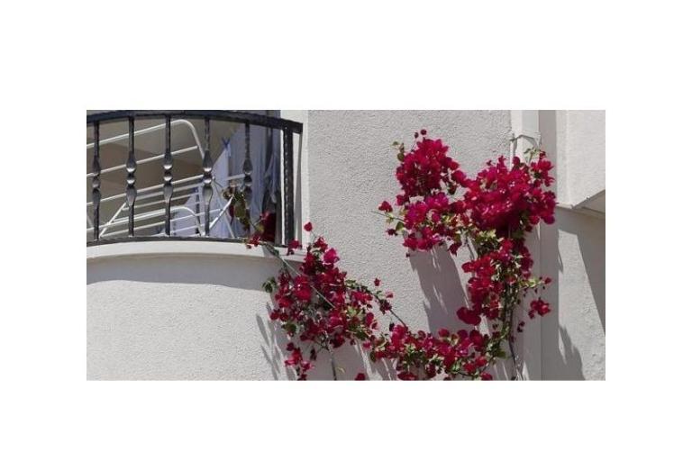 Apartments Suzana i Zlatan – photo 8