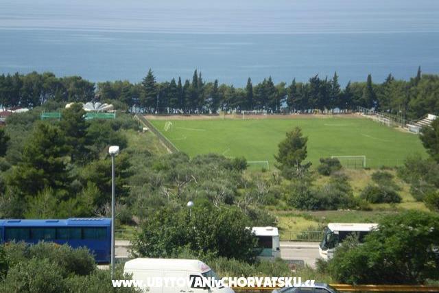 Apartments Vitlic – photo 6