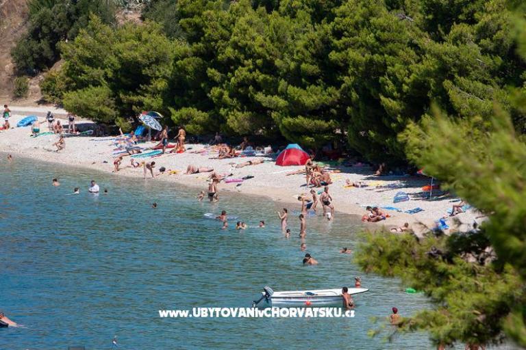 Apartments Barbara – photo 3