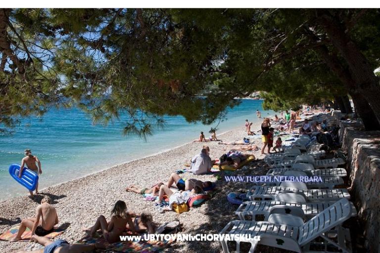 Apartments Barbara – photo 8