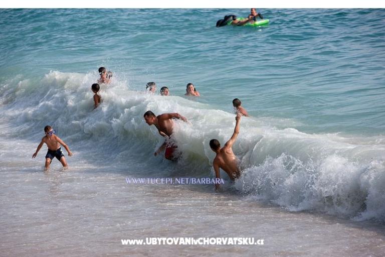 Apartments Barbara – photo 9