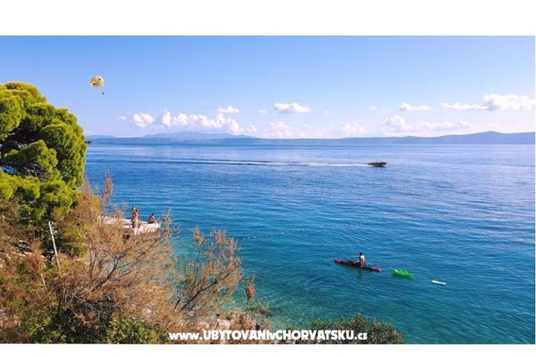 Apartments Malina i Krsto – photo 11