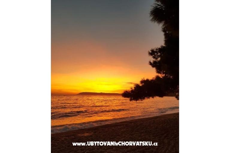 Apartments Malina i Krsto – photo 13