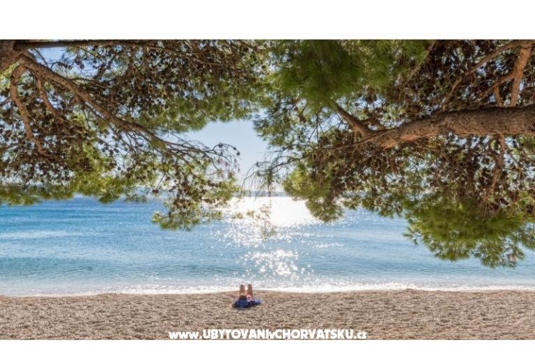 Apartments Malina i Krsto – photo 15