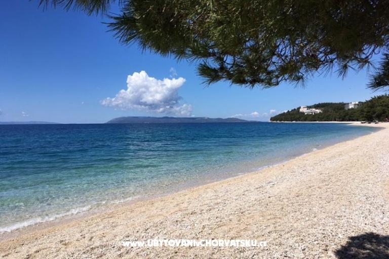 Apartments Malina i Krsto – photo 4