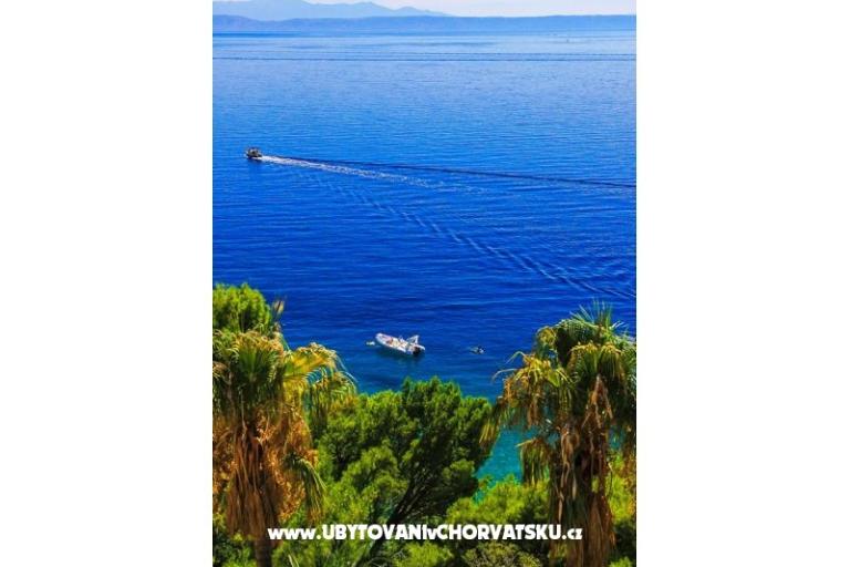 Apartments Malina i Krsto – photo 5