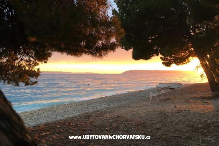 Apartments Malina i Krsto – photo 6