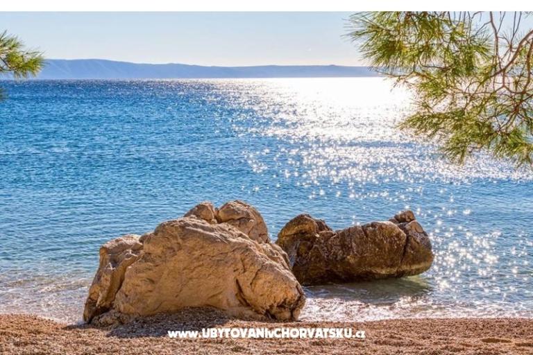 Apartments Malina i Krsto – photo 7