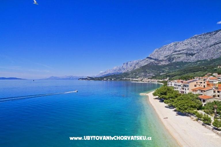 Apartments Malina i Krsto – photo 8