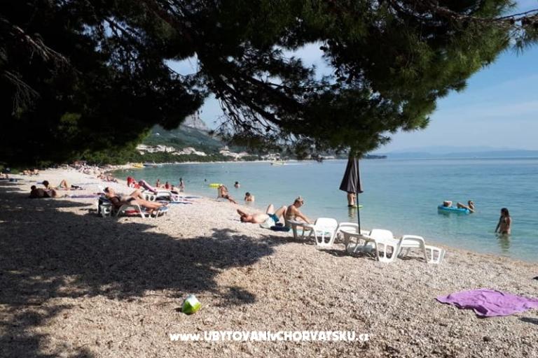 Apartments Malina i Krsto – photo 9