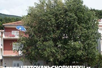 Apartments Maja Sevelj – photo 2