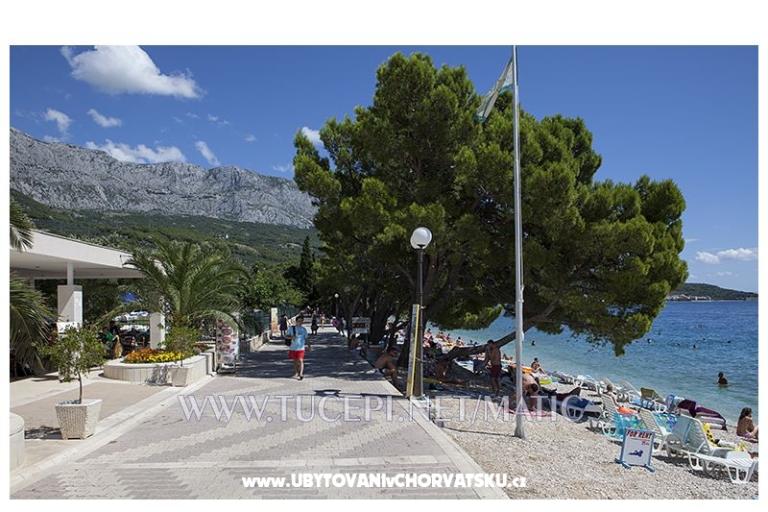Apartments Matić – photo 13