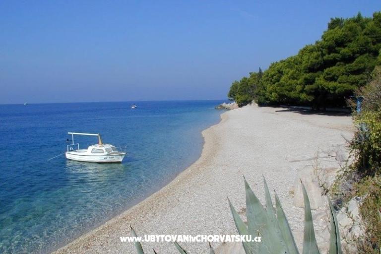 App Dragicevic -Villa Rossa 2 – photo 10