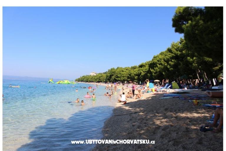 Apartments Vesna - House Covic – photo 10