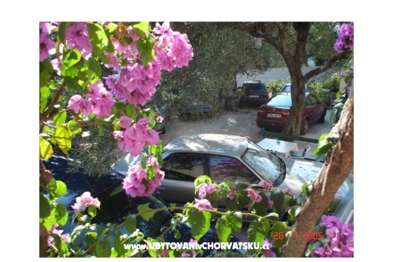 Apartments Vesna - House Covic – photo 13