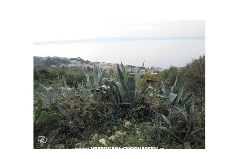 Vila Hermina – photo 13