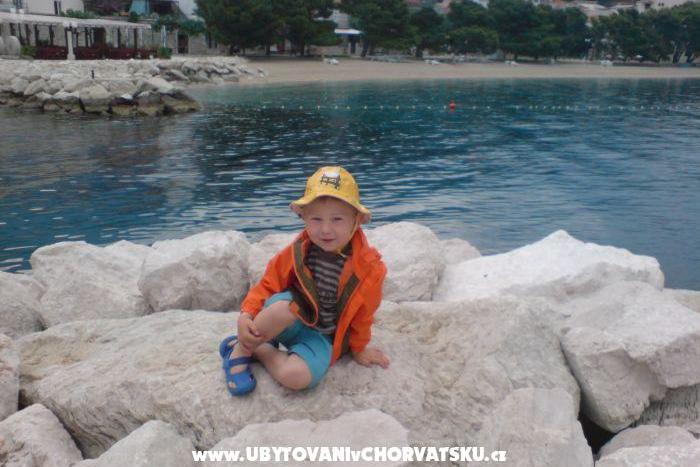 Vila Hermina – photo 4