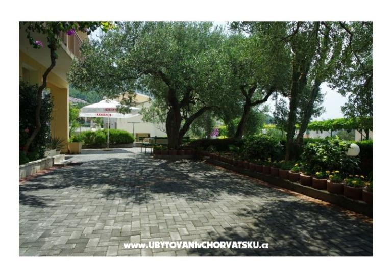Villa Jedini – photo 9