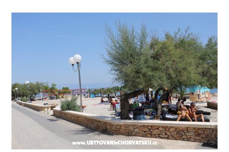 Apartment Mirjam – photo 6