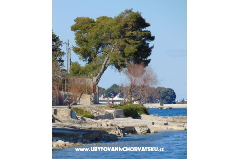 Apartment rosa – photo 4