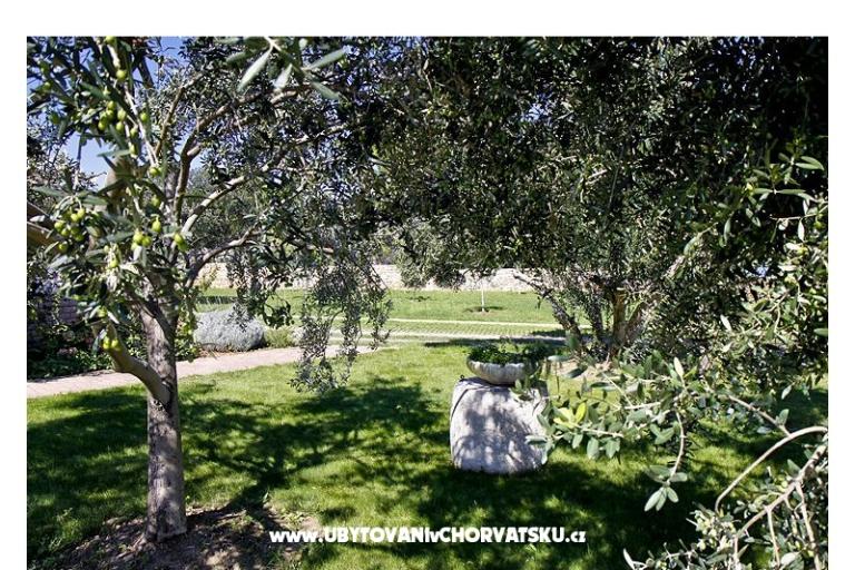 Apartments Benic – photo 5