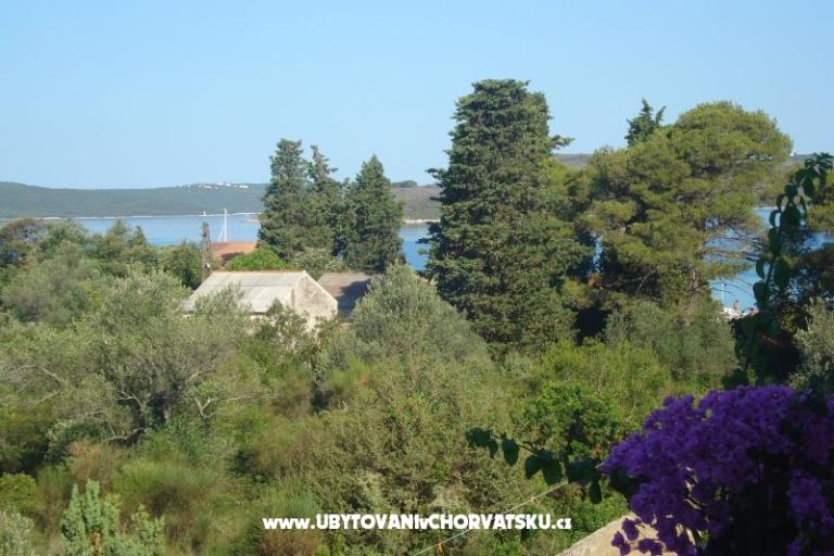 Apartments Branko Vidaković – photo 12