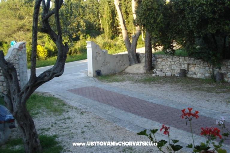 Apartments Branko Vidaković – photo 15