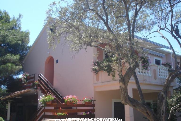 Apartments Branko Vidaković – photo 2