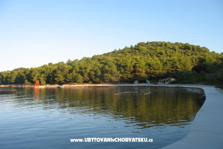 Apartments Tomislav – photo 7