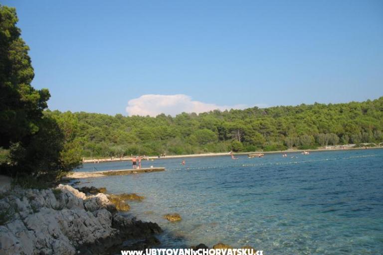 Apartments Tomislav – photo 8